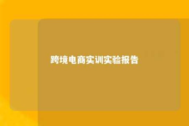 跨境电商实训实验报告 跨境电商实训实验报告总结