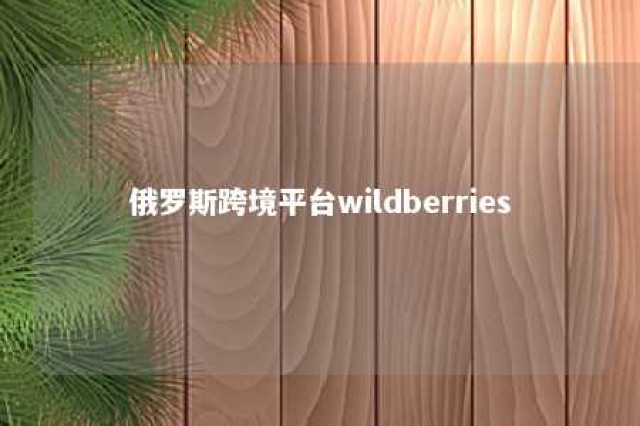 俄罗斯跨境平台wildberries 俄罗斯跨境平台republish