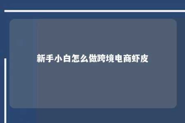 新手小白怎么做跨境电商虾皮 新手小白怎么做跨境电商虾皮卖家