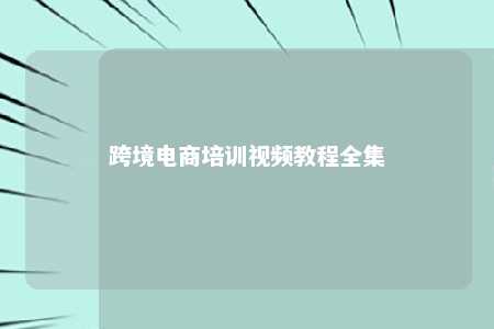 跨境电商培训视频教程全集