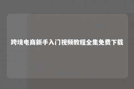 跨境电商新手入门视频教程全集免费下载